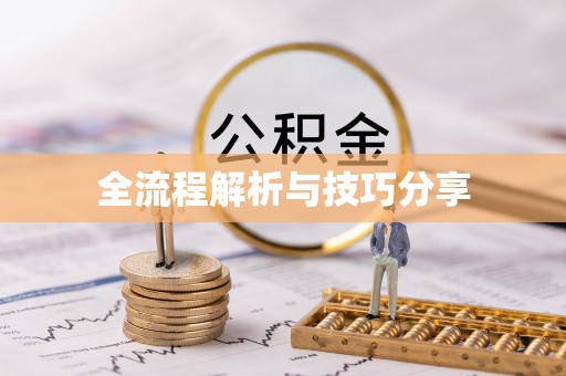 万丹全流程解析与技巧分享